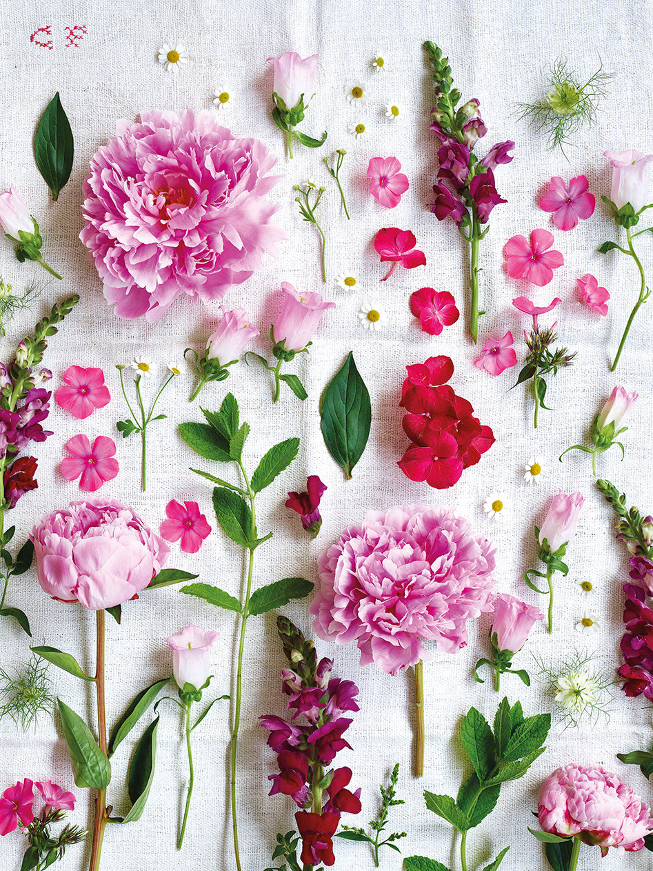 'A Picture of Peonies' Greetings Card