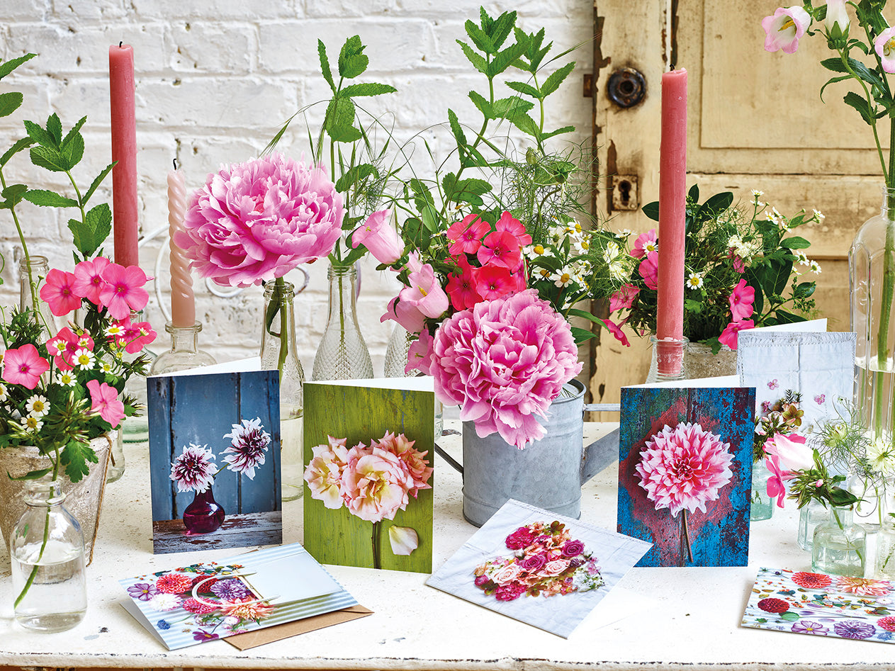 'Dahlia Otto's Thrill' Greetings Card