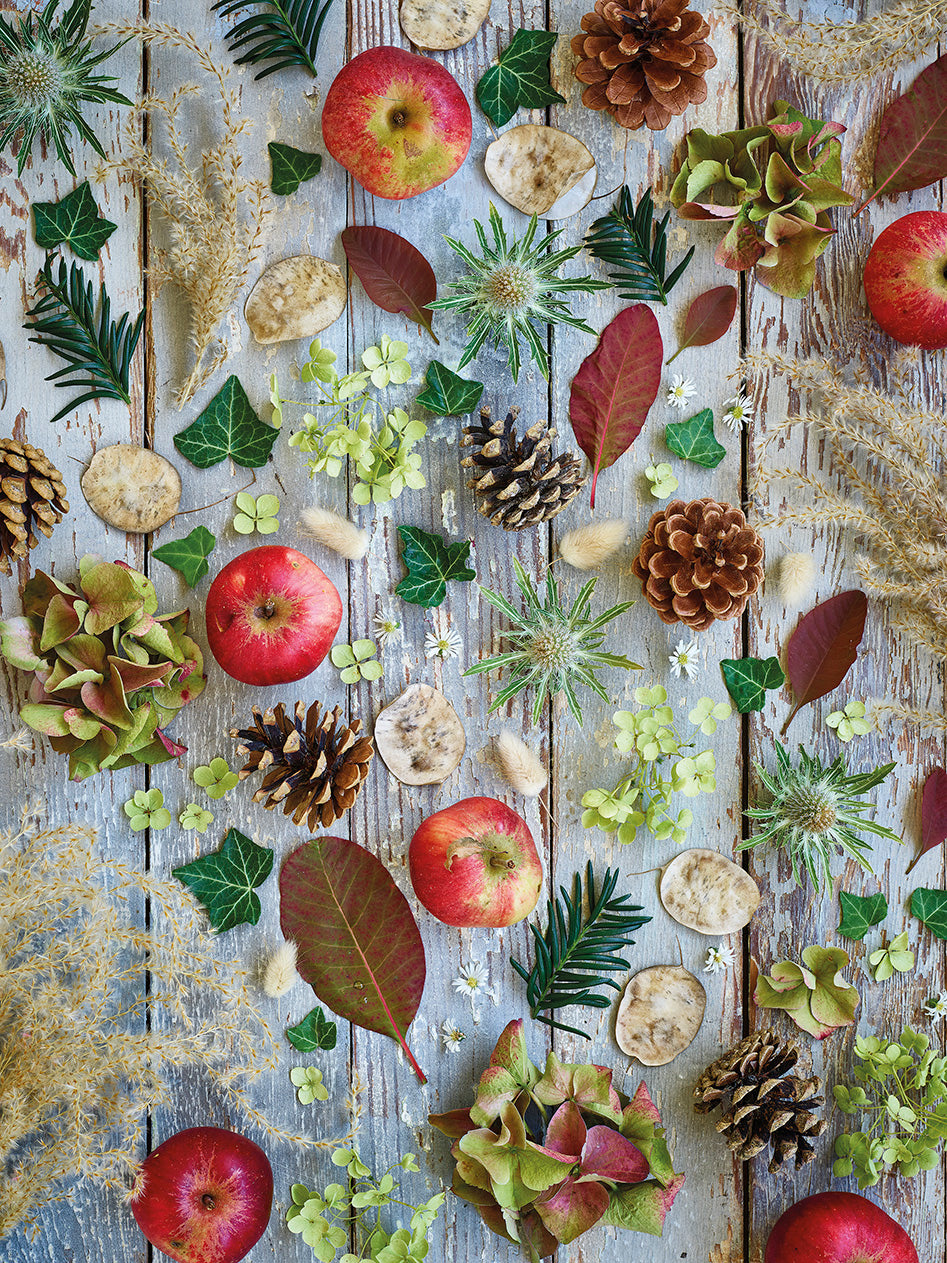 'Foraging for the Festive Season' Christmas Card