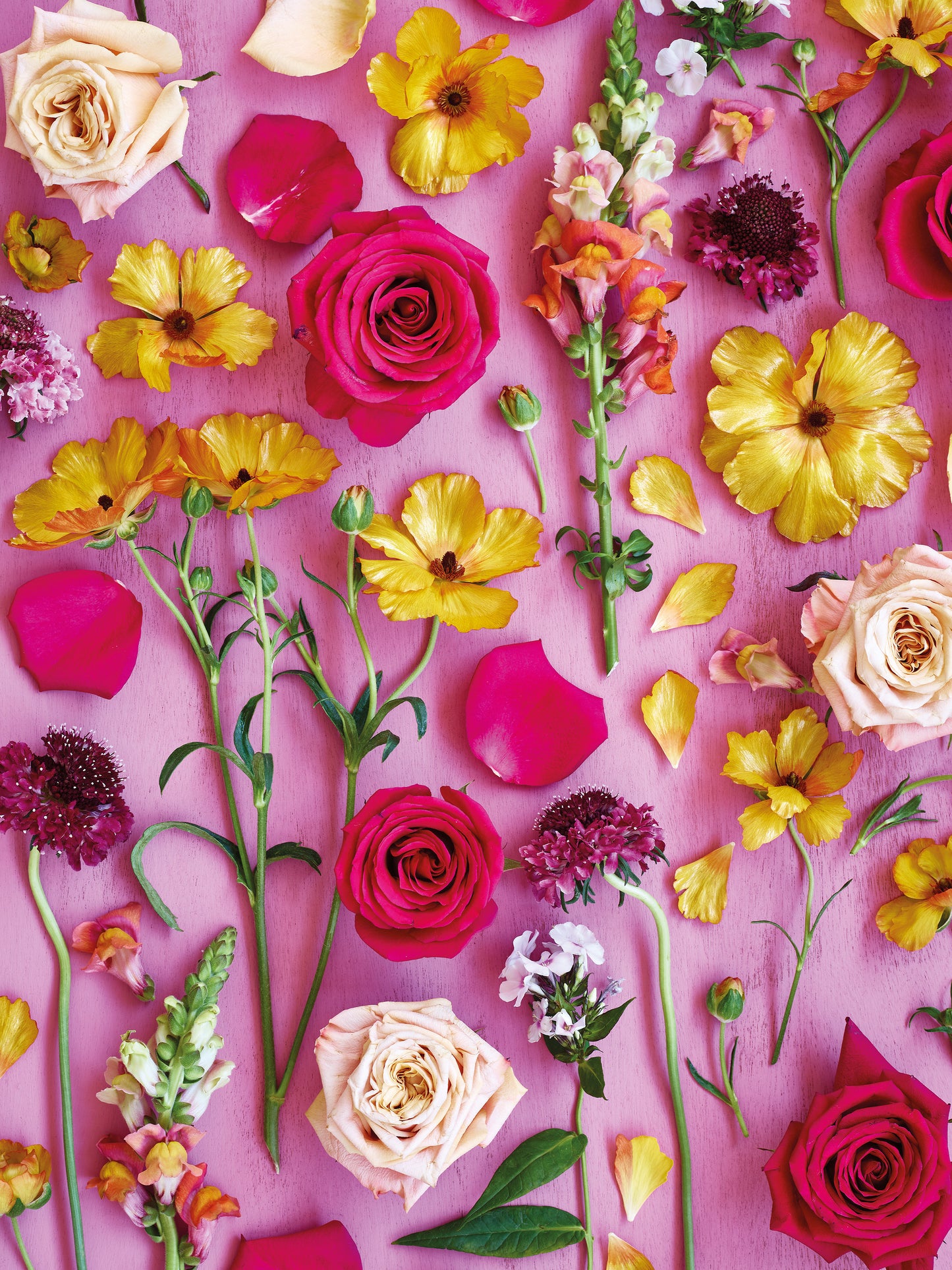 'Fortescue Road Garden' Greetings Card