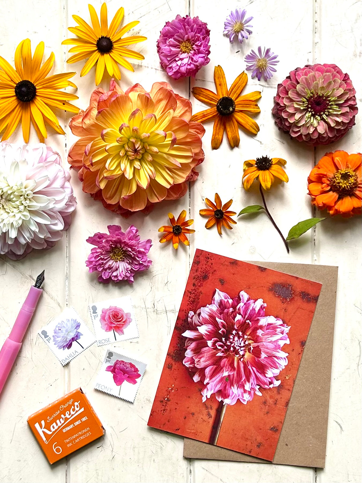 'Dahlia Frost Nip' Greetings Card