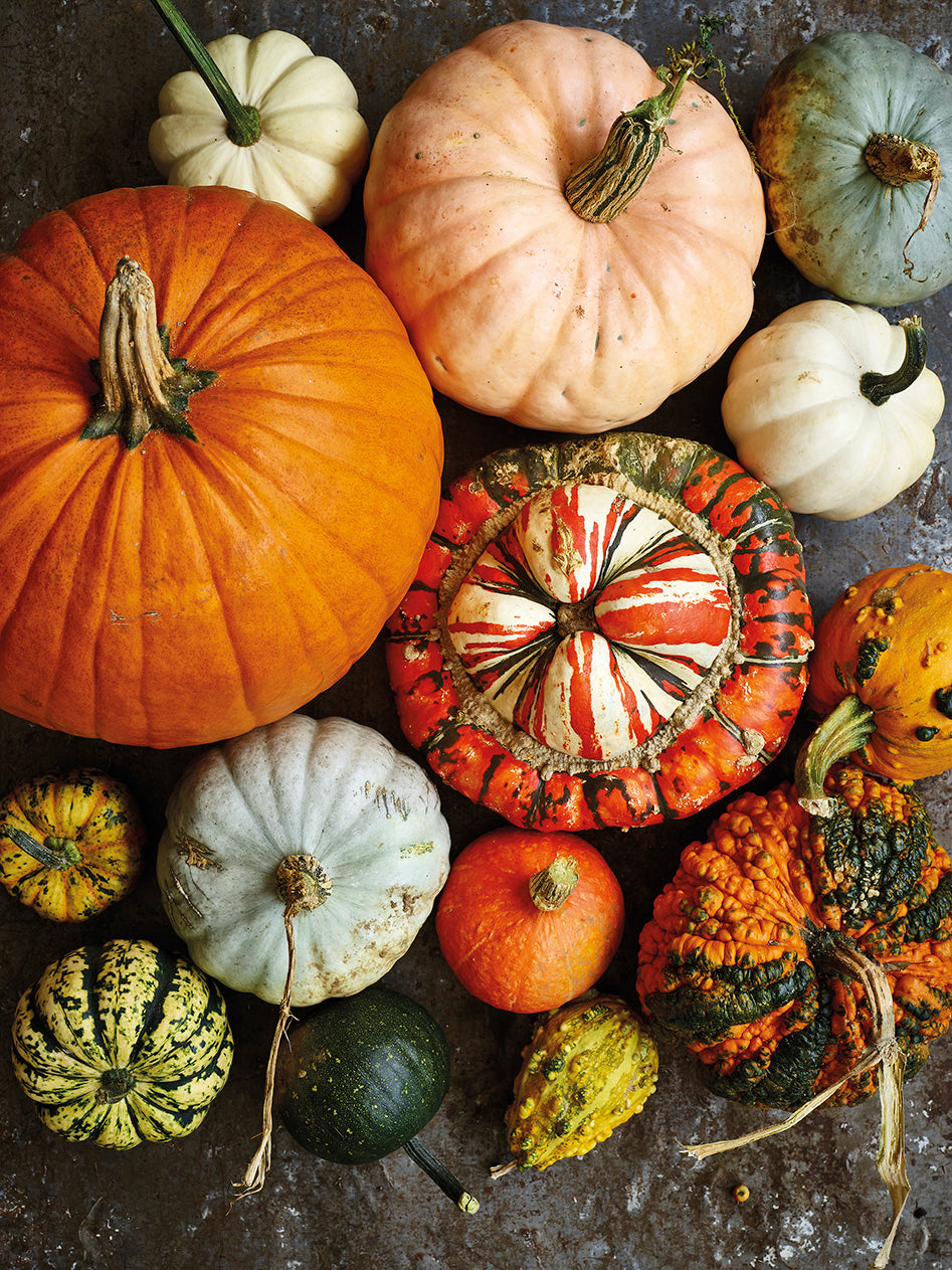 'The Suffolk Pumpkins' Greetings Card