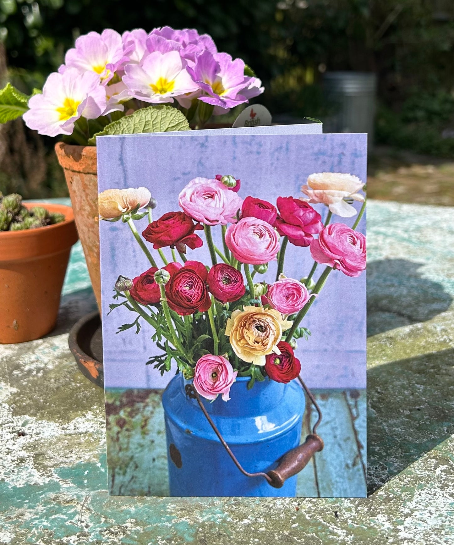 'Sky-Blue Pink' Greetings Card