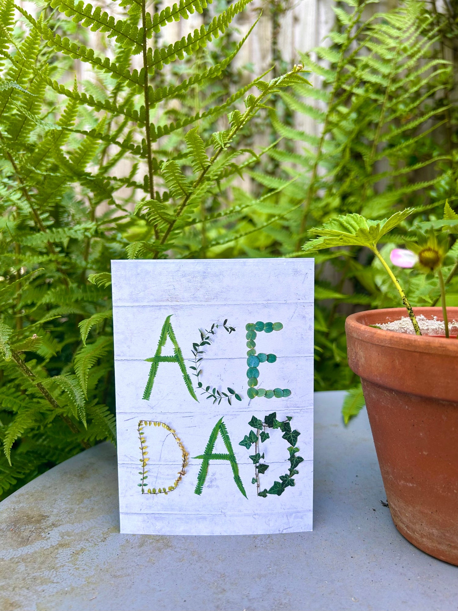 Father's Day Cards