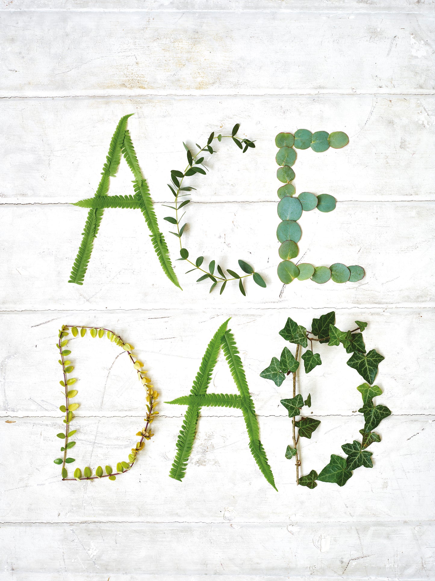 'Ace Dad' Greetings Card