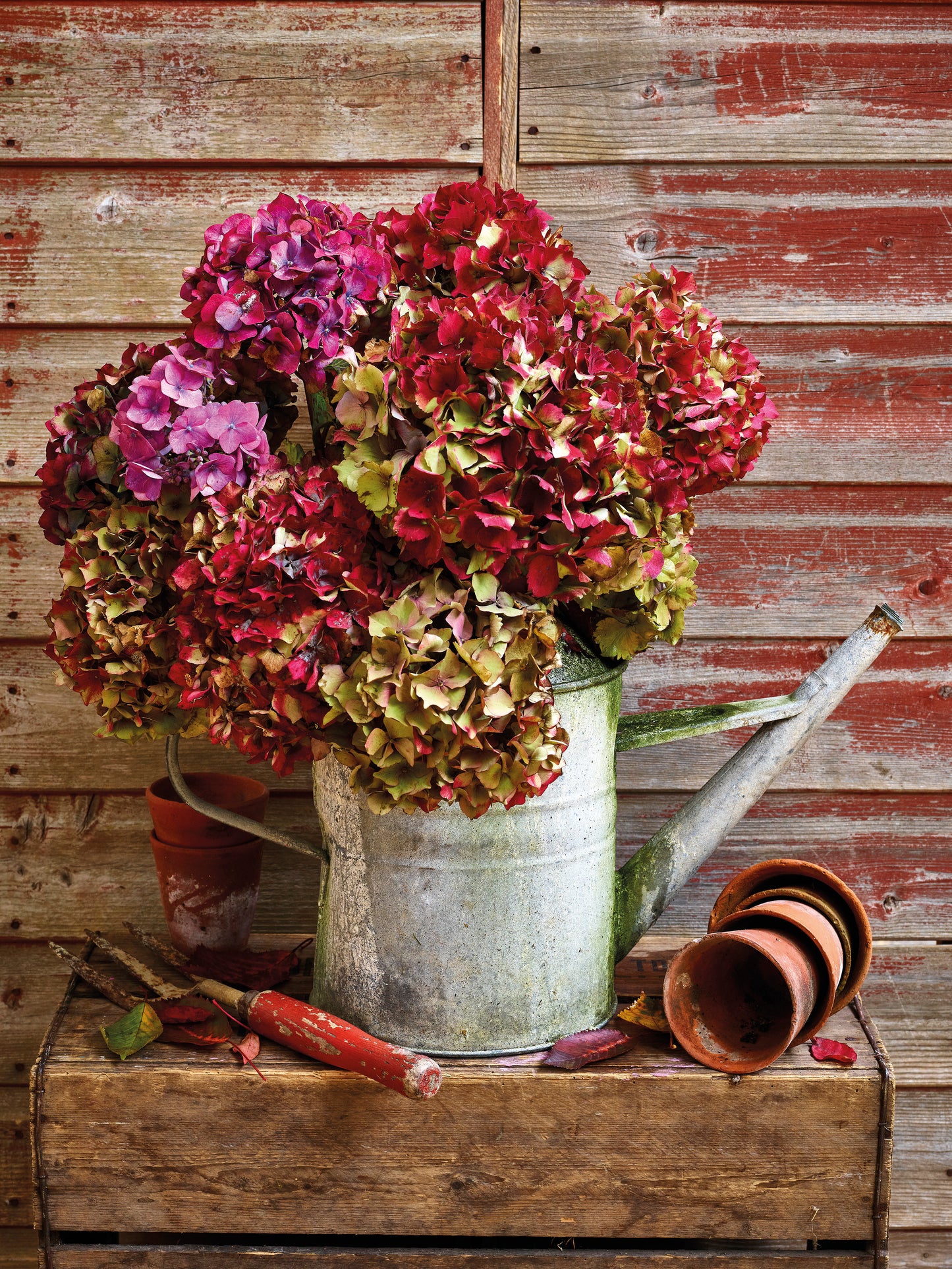 'Autumn Garden Hydrangeas' Greetings Card
