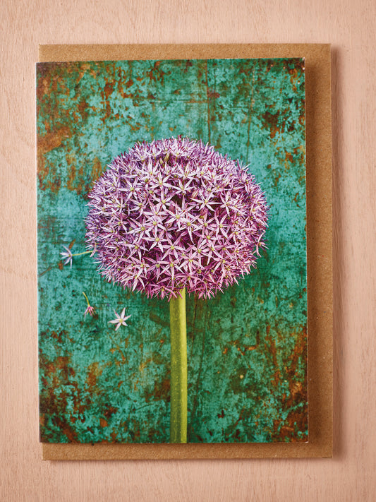 'Allium Globemaster' Greetings Card