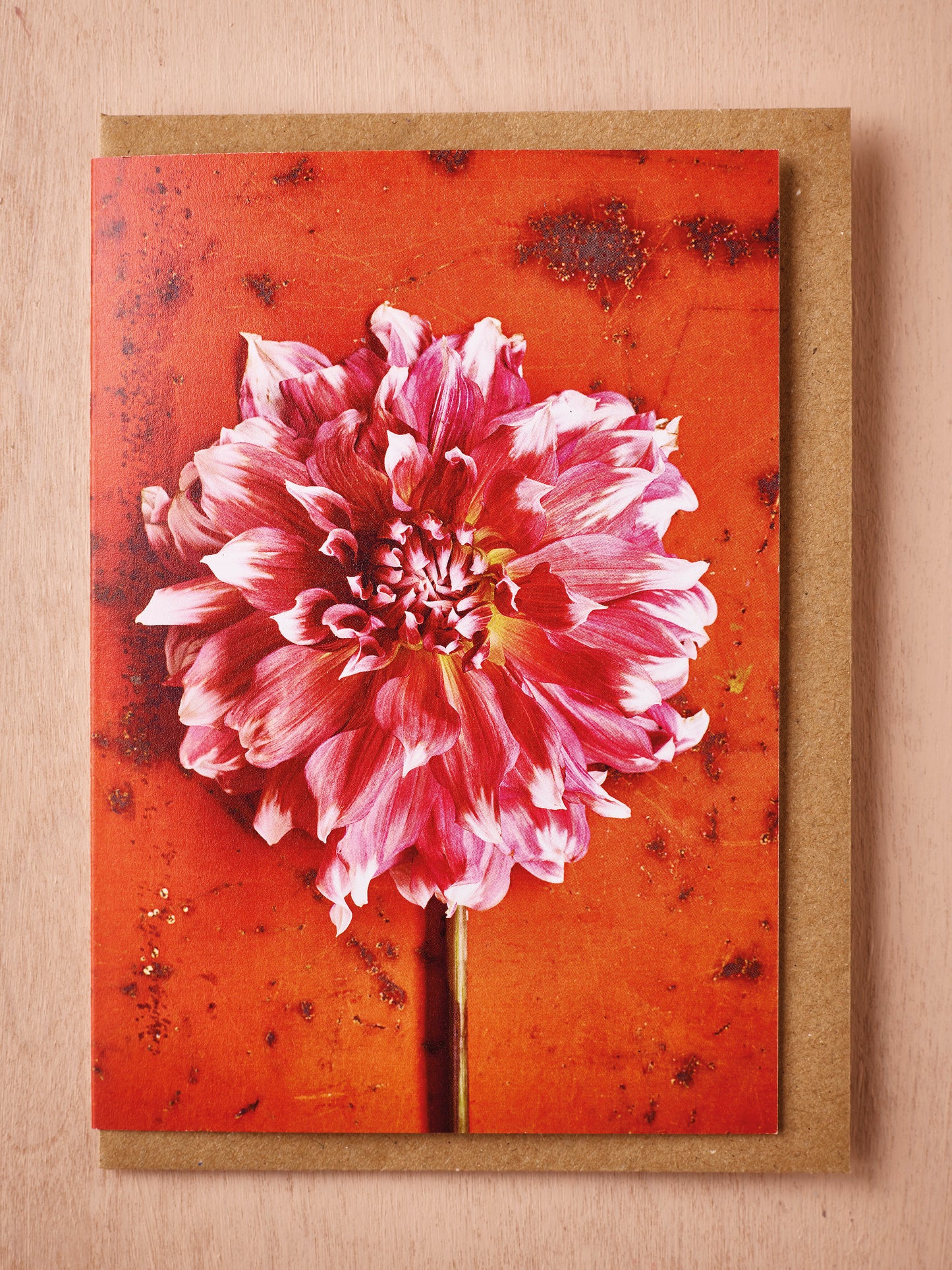 Set of 4 Garden Dahlia Cards