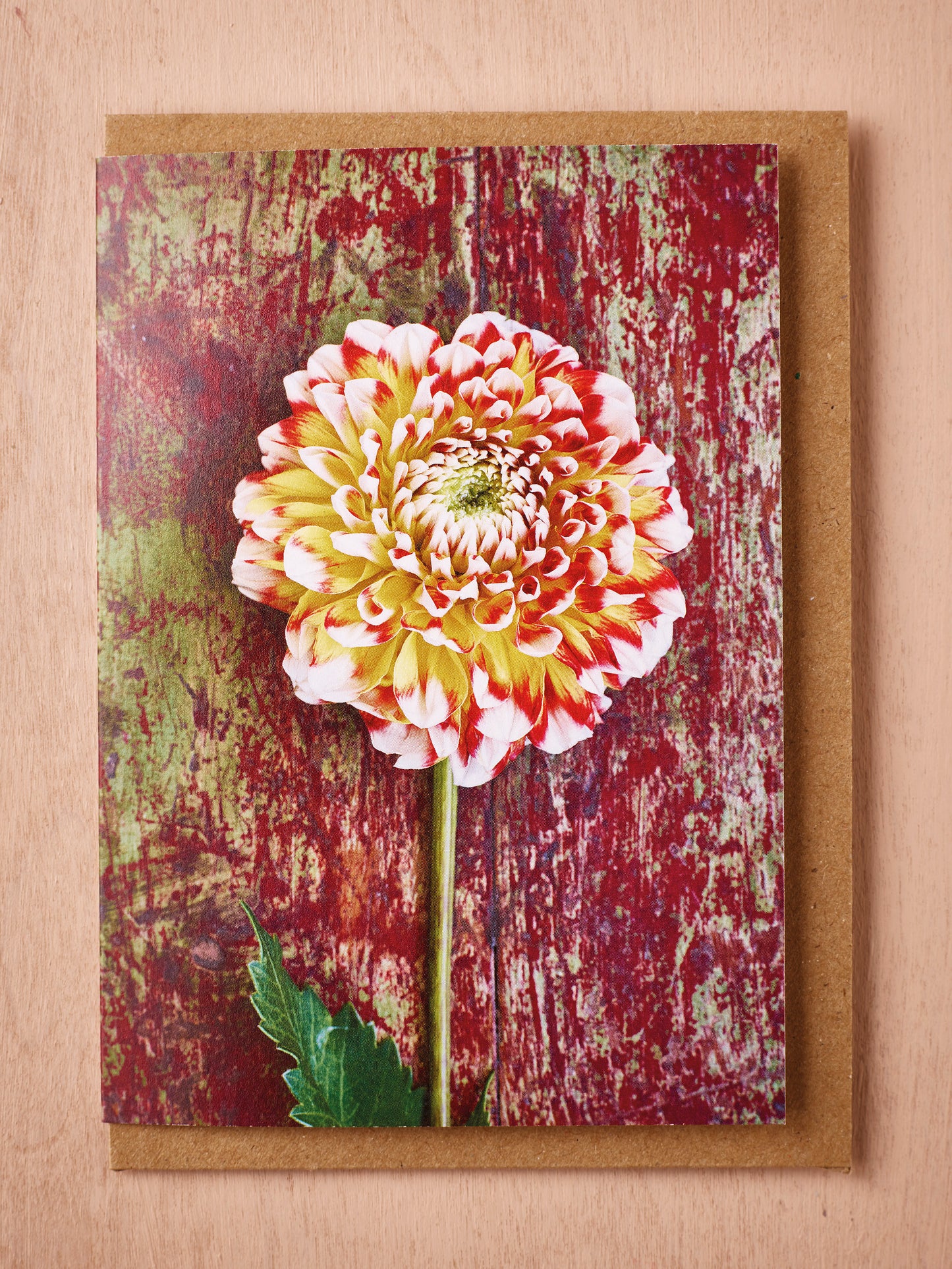 Set of 4 Garden Dahlia Cards