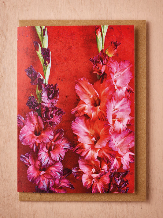 'Glorious Gladioli' Greetings Card