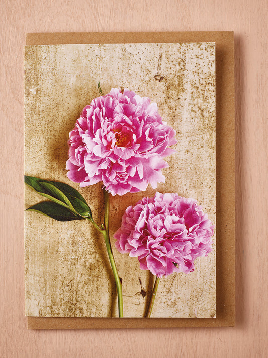 'Peony Sarah Bernhardt' Greetings Card