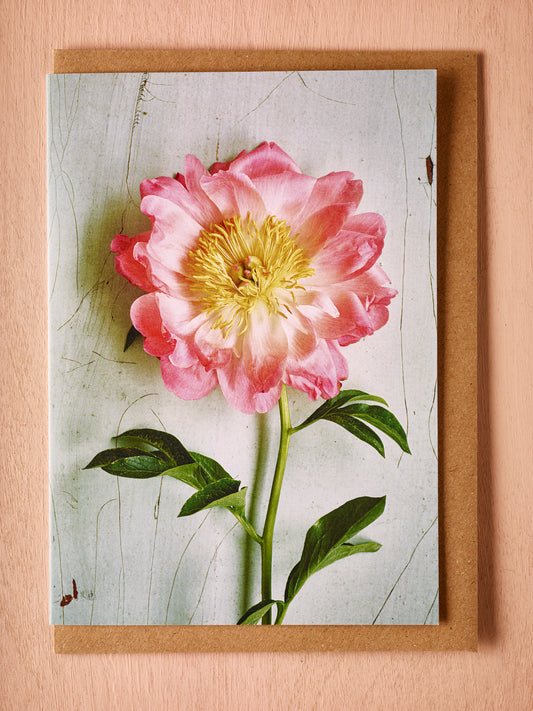 'Peony Coral Sunset' Greetings Card