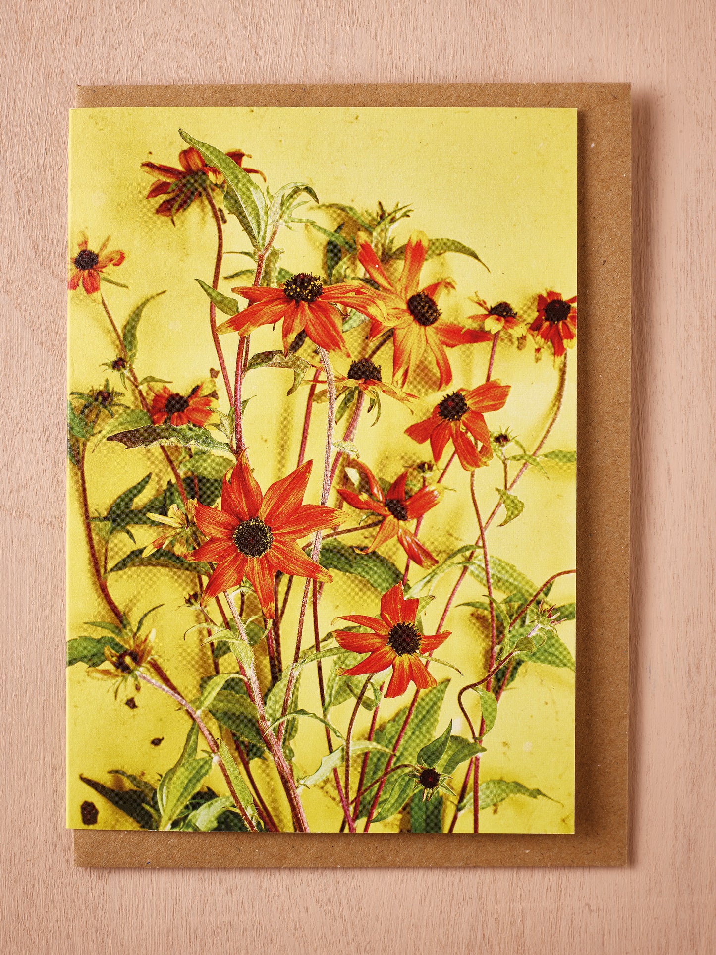 'Rudbeckia Prairie Glow' Greetings Card