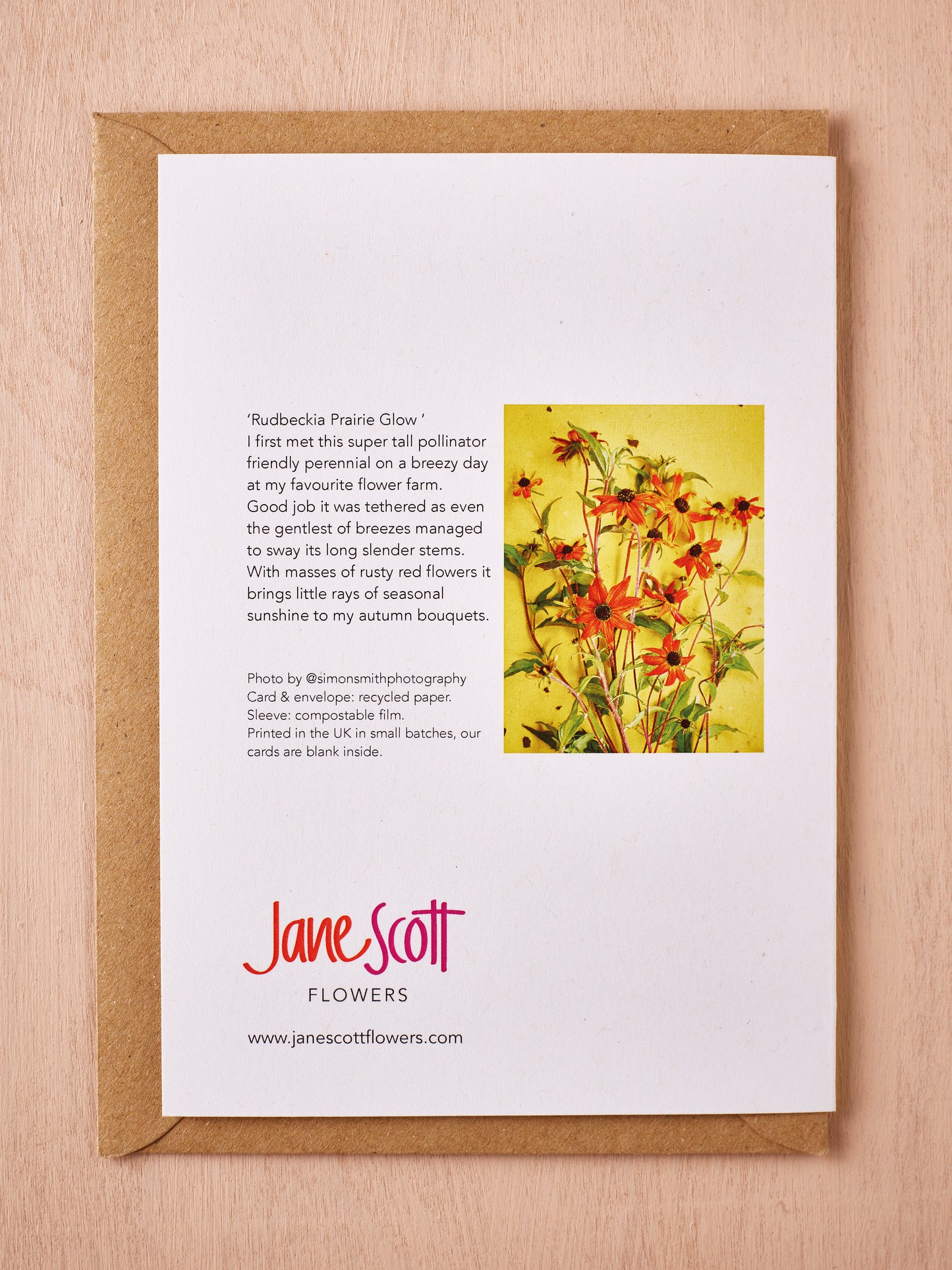 'Rudbeckia Prairie Glow' Greetings Card