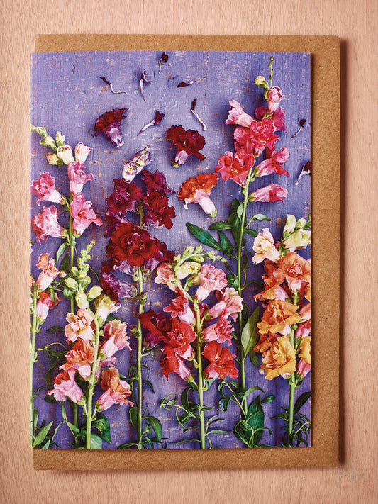 'Softly Scented Snapdragons' Greetings Card