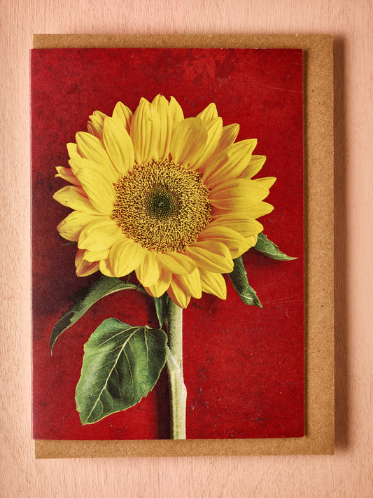 'The Sunflower' Greetings Card