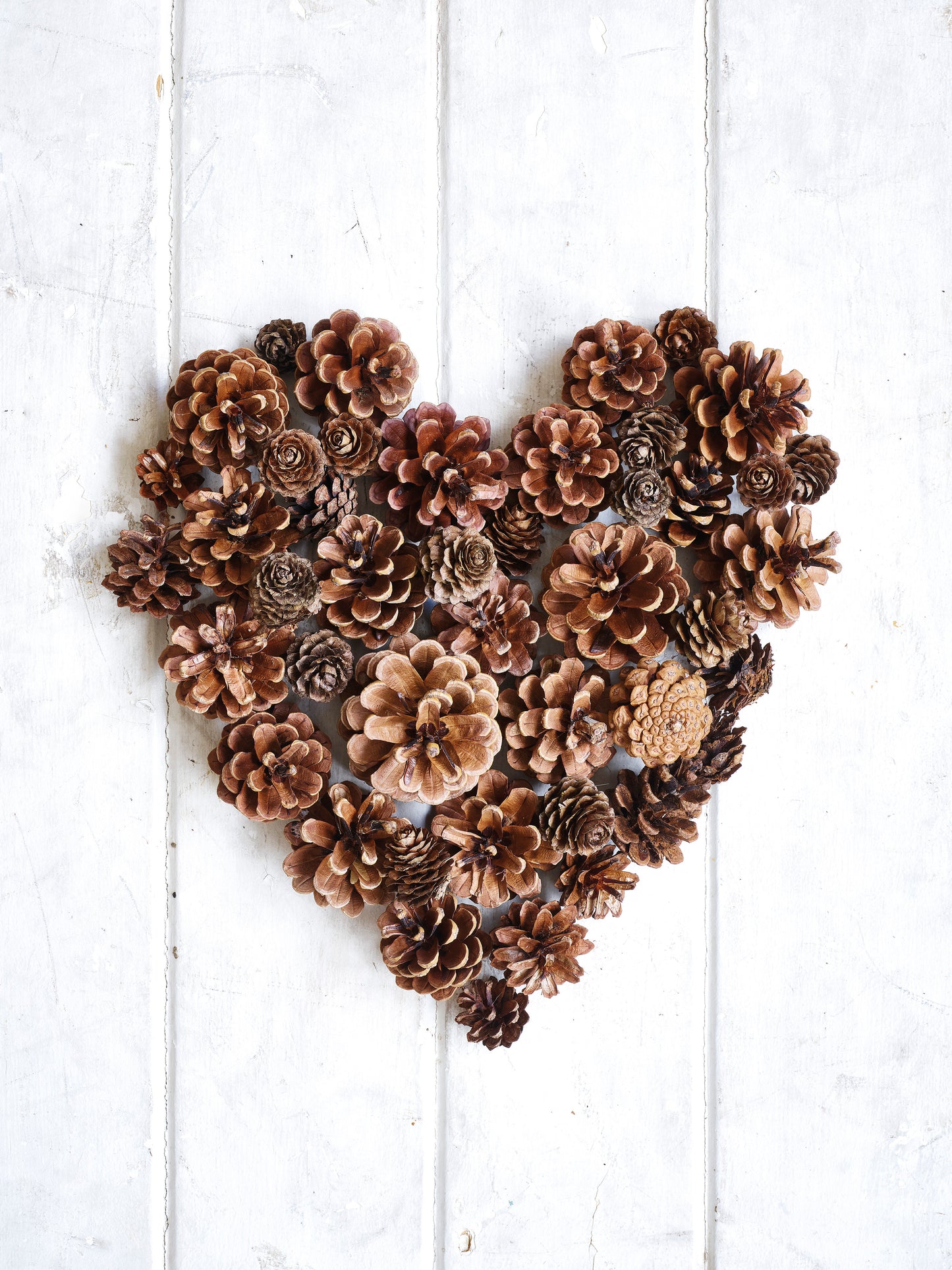 'Heart of Pine Cones' Christmas Card