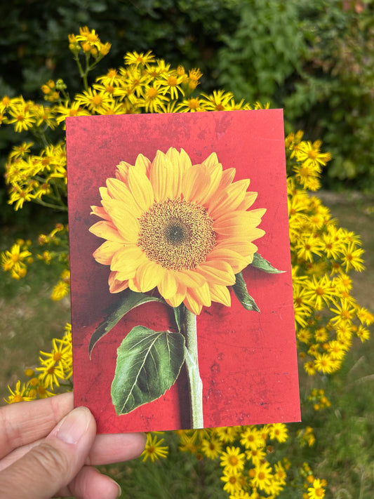 'The Sunflower' Greetings Card