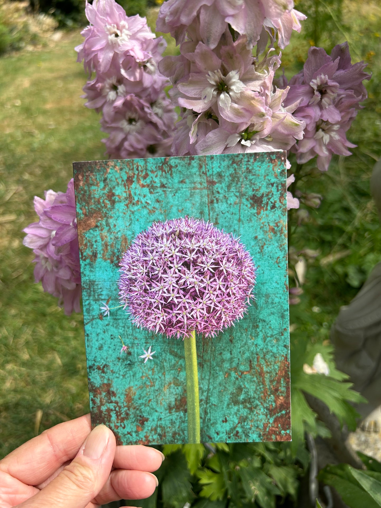 'Allium Globemaster' Greetings Card