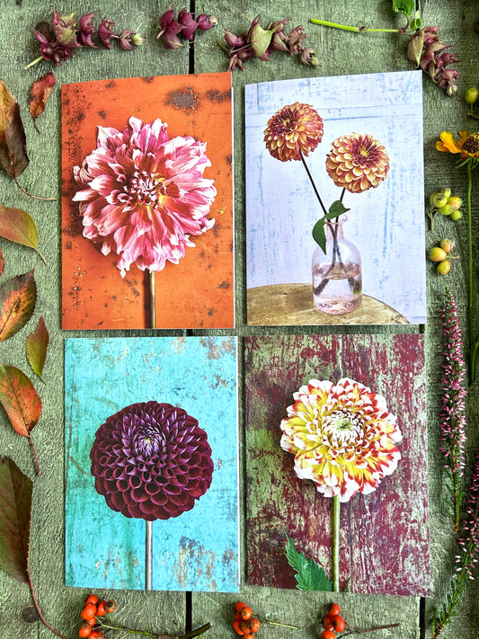 Set of 4 Garden Dahlia Cards