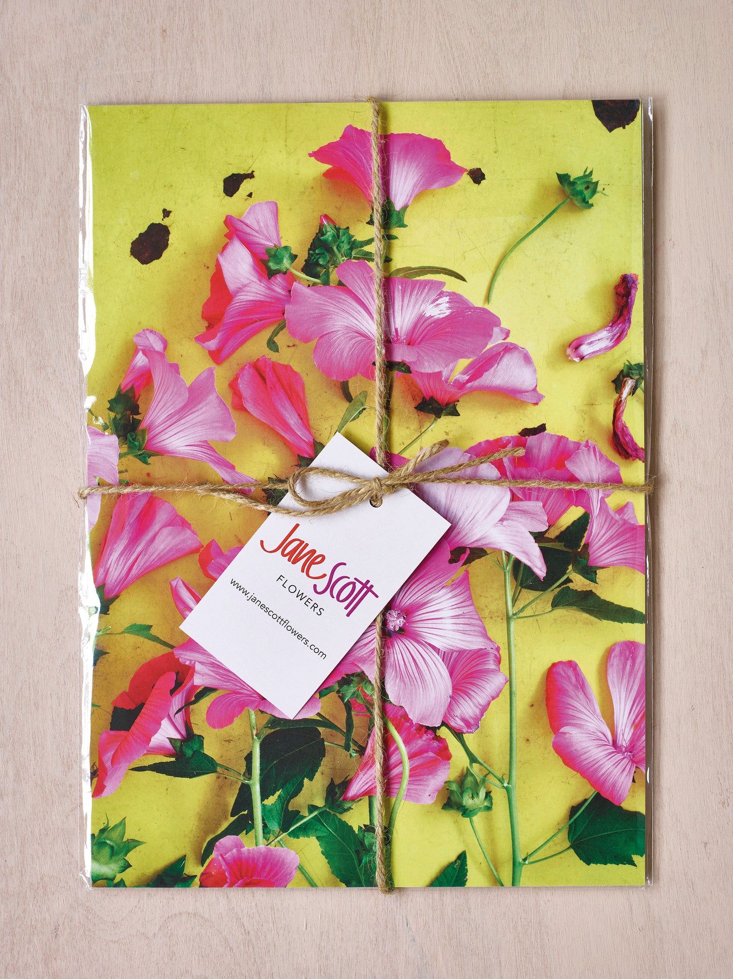'Summer Mallow' Limited Edition Print