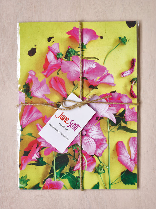 'Summer Mallow' Limited Edition Print