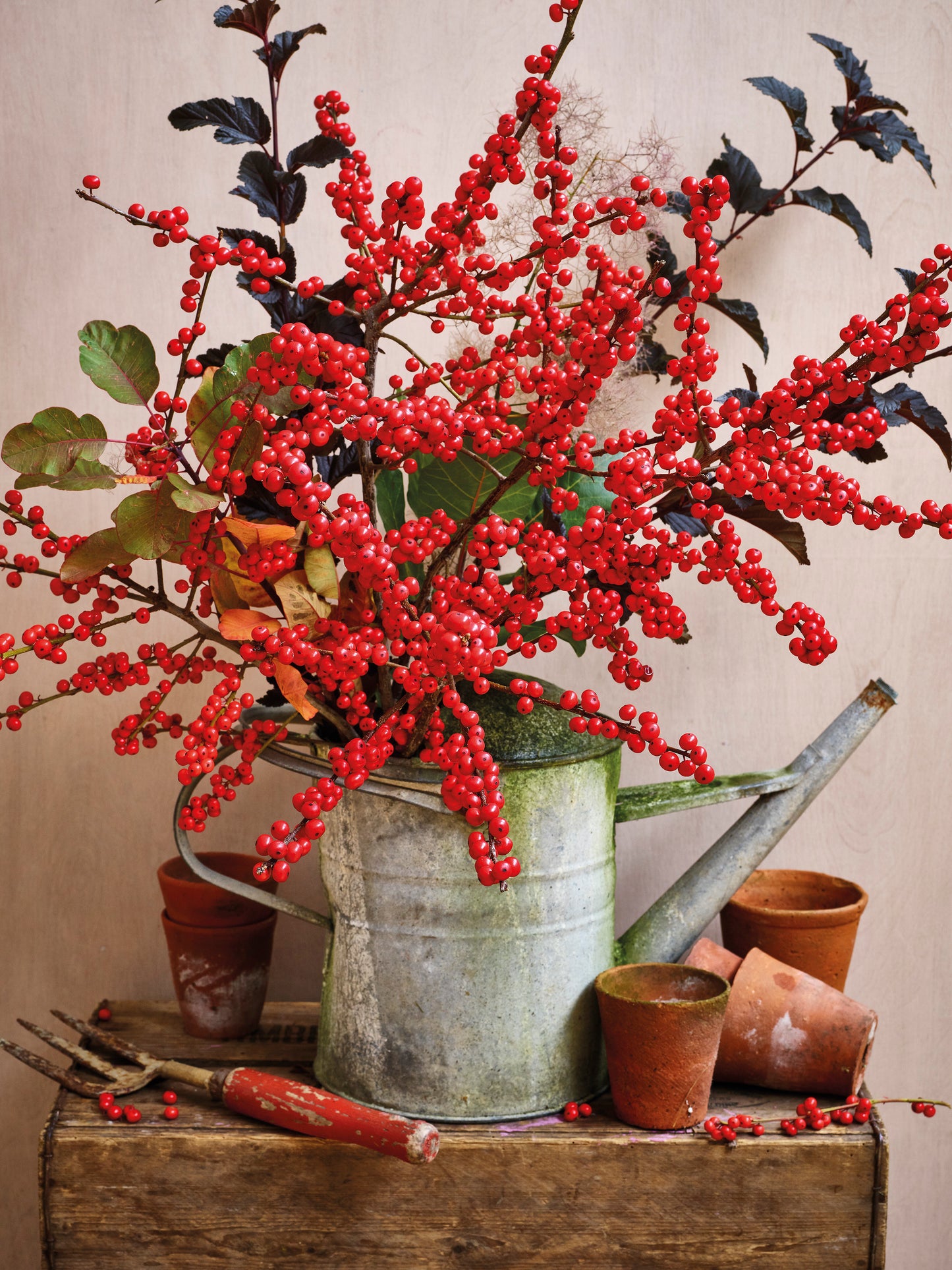 'Watering Can in Winter' Christmas Card