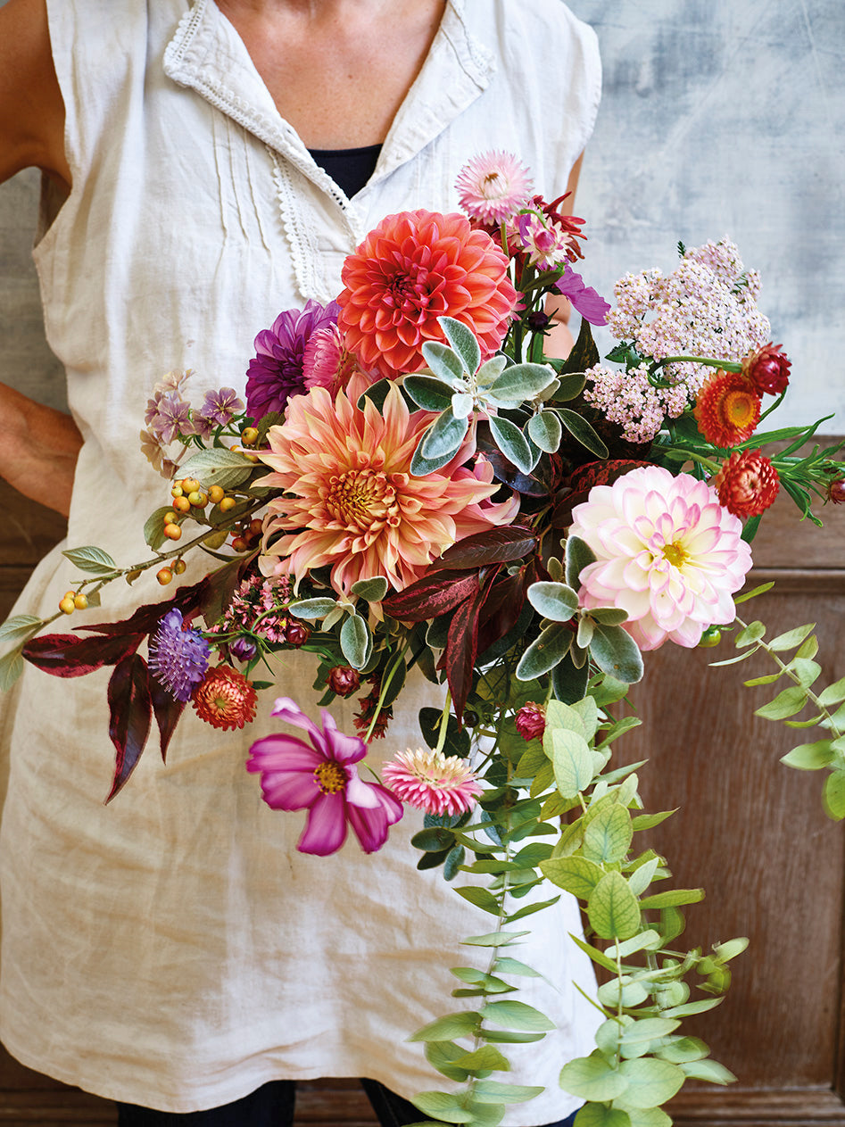 Dahlia Masterclass - 6pm Sunday 6th September 2026