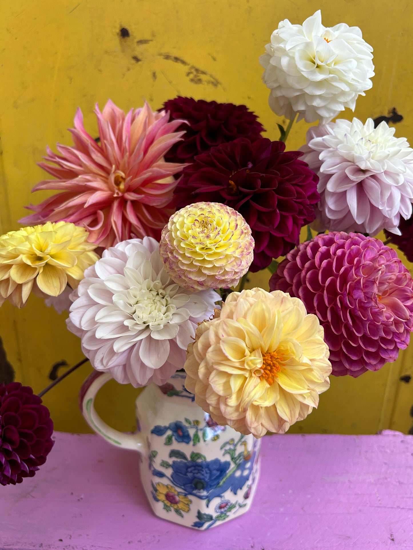 Dahlia Masterclass - 6pm Sunday 6th September 2026